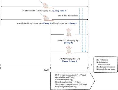 Neuroprotective potency of mangiferin against 3-nitropropionic acid induced Huntington’s disease-like symptoms in rats: possible antioxidant and anti-inflammatory mechanisms